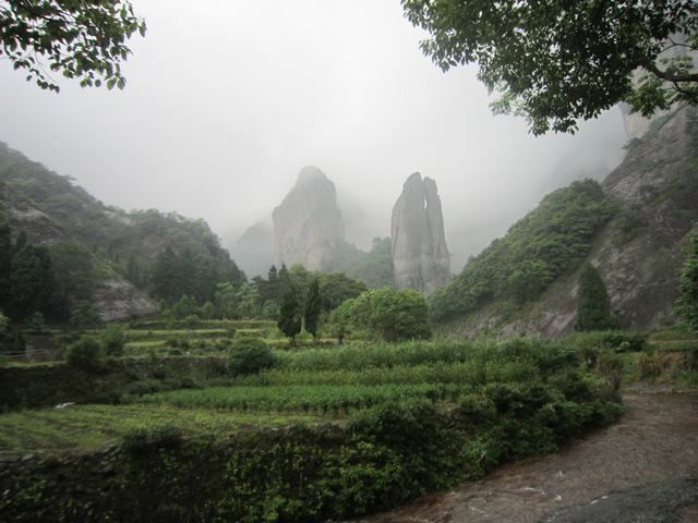 IMG_1710.JPG