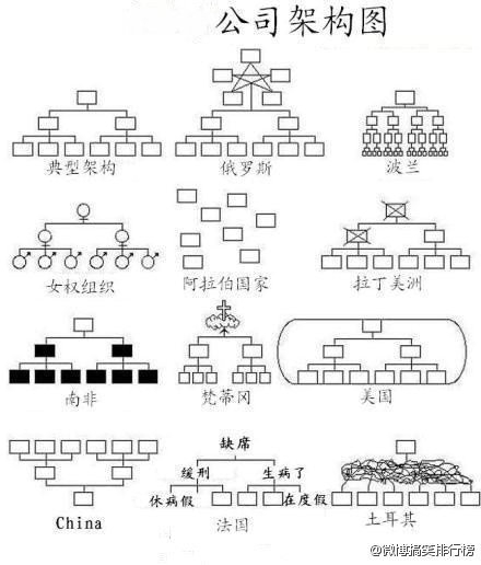 公司架构图.jpg