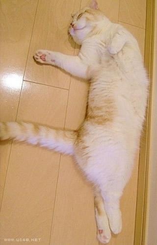 性感睡姿16式 惹人怜3.jpg